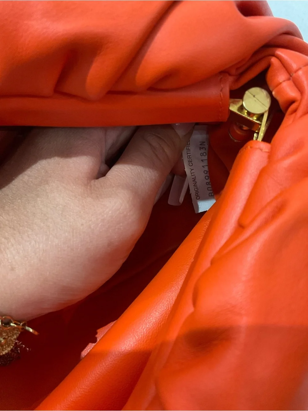 Bottega Veneta Bag